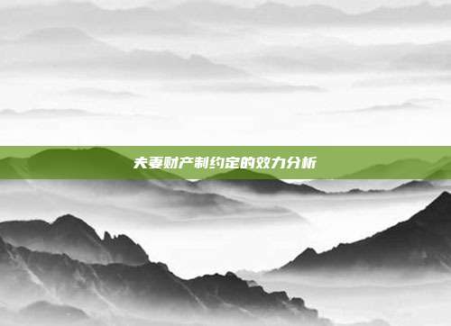 夫妻财产制约定的效力分析