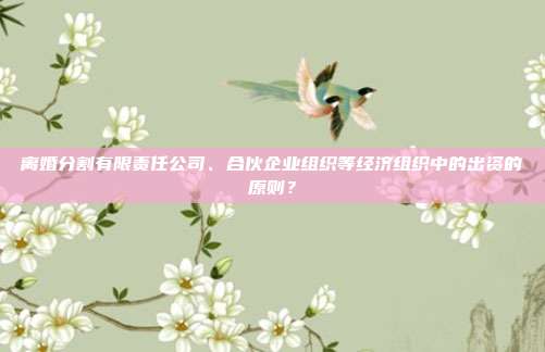 离婚分割有限责任公司、合伙企业组织等经济组织中的出资的原则?