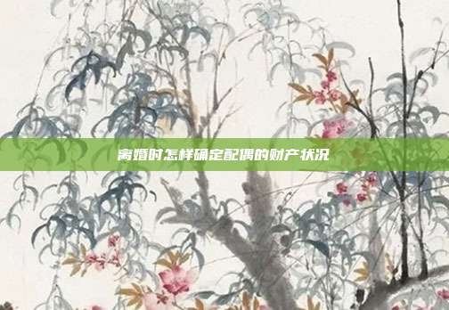 离婚时怎样确定配偶的财产状况