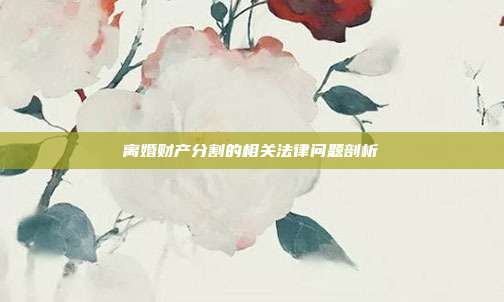 离婚财产分割的相关法律问题剖析