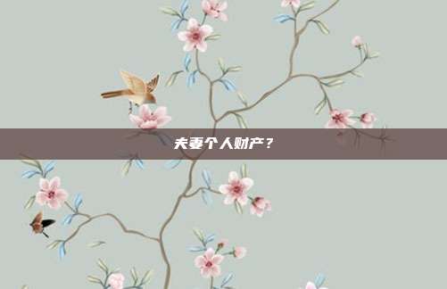 夫妻个人财产?