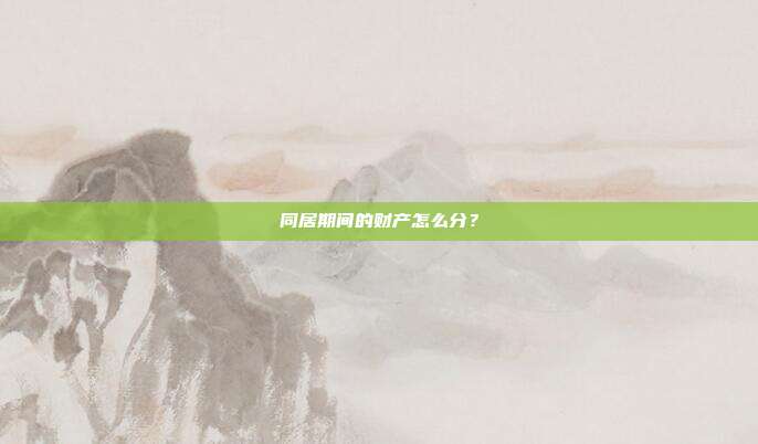 同居期间的财产怎么分?