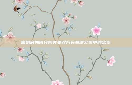 离婚时如何分割夫妻双方在有限公司中的出资