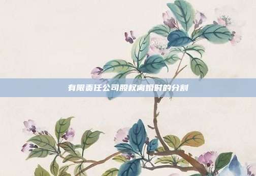 有限责任公司股权离婚时的分割