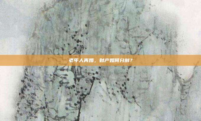 老年人再婚,财产如何分割?