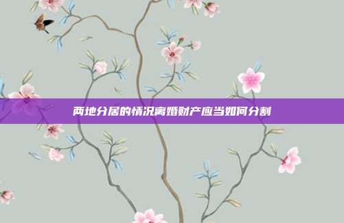 两地分居的情况离婚财产应当如何分割