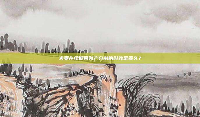 夫妻存续期间财产分割的时效是多久？