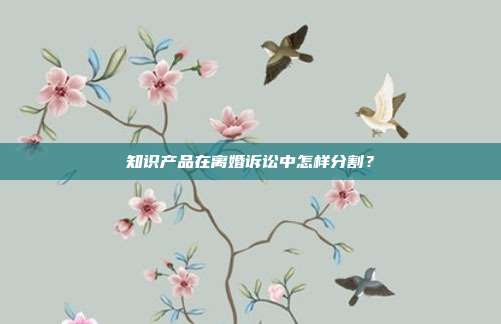 知识产品在离婚诉讼中怎样分割?