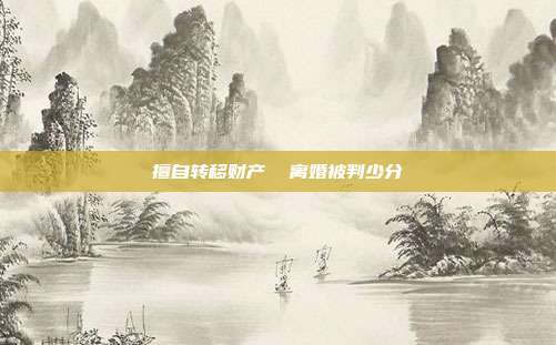 擅自转移财产  离婚被判少分