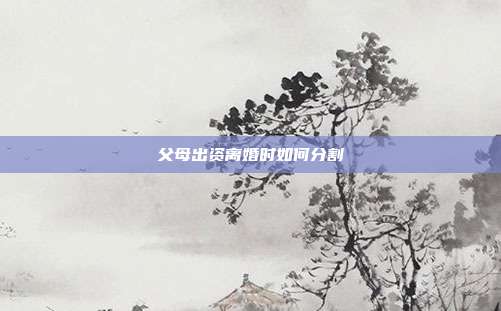 父母出资离婚时如何分割