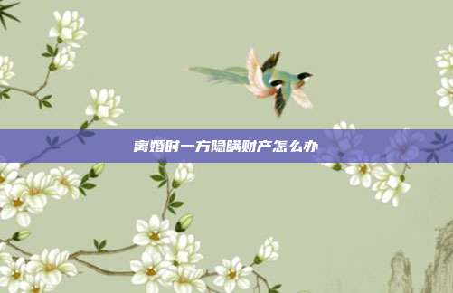 离婚时一方隐瞒财产怎么办
