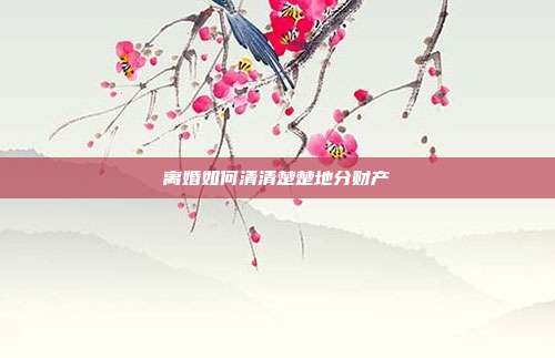 离婚如何清清楚楚地分财产