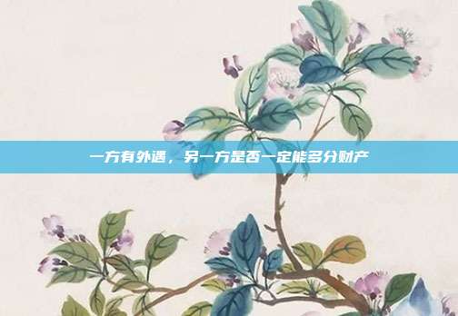一方有外遇,另一方是否一定能多分财产