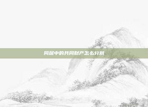 同居中的共同财产怎么分割