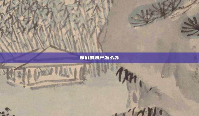 你们的财产怎么办