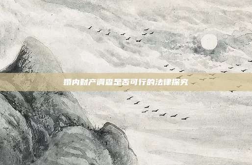 婚内财产调查是否可行的法律探究
