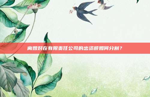 离婚对在有限责任公司的出资额如何分割?