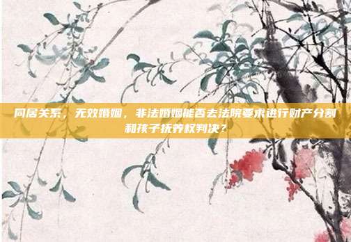 同居关系,无效婚姻,非法婚姻能否去法院要求进行财产分割和孩子抚养权判决?