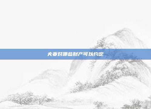 夫妻对哪些财产可以约定