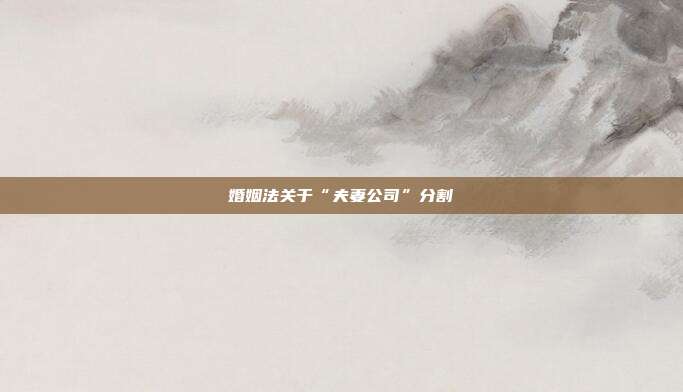 婚姻法关于“夫妻公司”分割