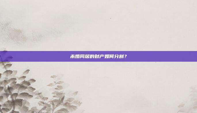 未婚同居的财产如何分割？
