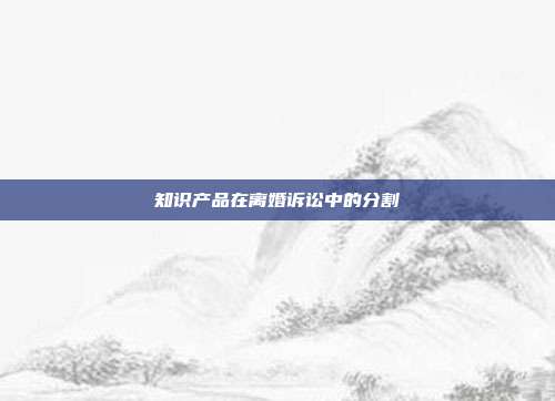 知识产品在离婚诉讼中的分割