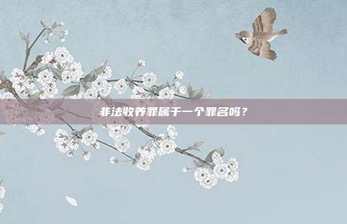 非法收养罪属于一个罪名吗?
