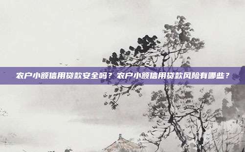 农户小额信用贷款安全吗？农户小额信用贷款风险有哪些？