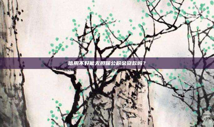 信用不好能无担保公积金贷款吗?