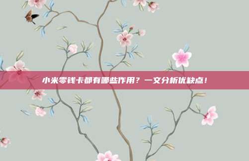小米零钱卡都有哪些作用?一文分析优缺点!