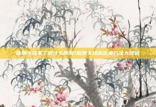 信用卡提不了额什么原因?信用卡提高额度方法大放送
