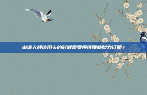 申请大额信用卡的时候需要提供哪些财力证明?