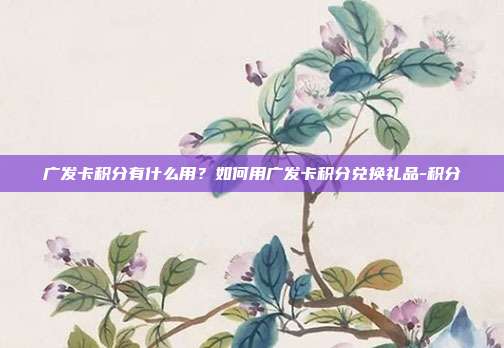 广发卡积分有什么用?如何用广发卡积分兑换礼品-积分