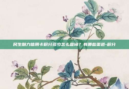 民生魅力信用卡积分多少怎么查询?有哪些渠道-积分