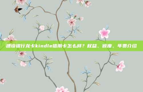 建设银行龙卡kindle信用卡怎么样?权益、额度、年费介绍