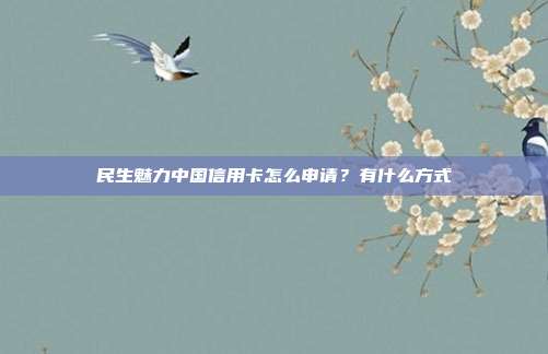 民生魅力中国信用卡怎么申请?有什么方式