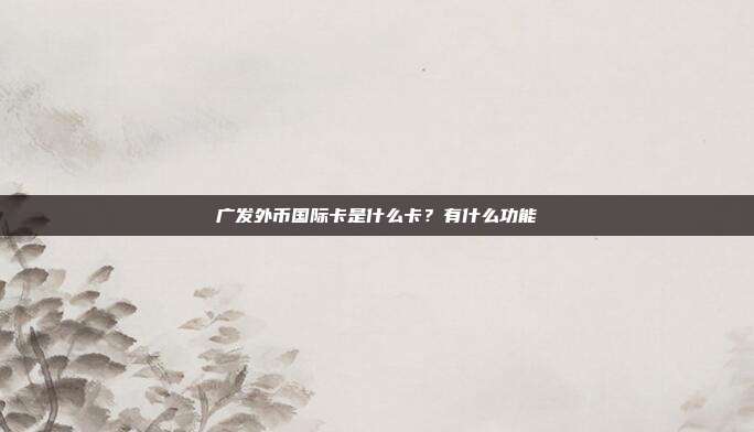 广发外币国际卡是什么卡?有什么功能