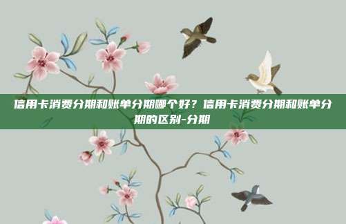 信用卡消费分期和账单分期哪个好?信用卡消费分期和账单分期的区别-分期