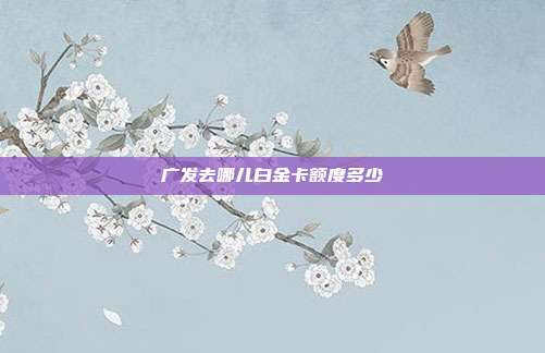 广发去哪儿白金卡额度多少