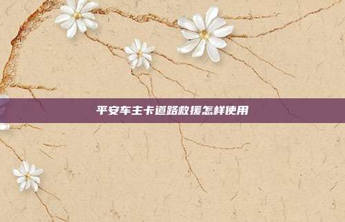 平安车主卡道路救援怎样使用