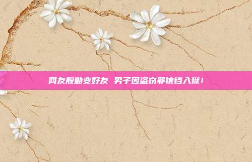 网友殷勤变好友 男子因盗窃罪锒铛入狱!