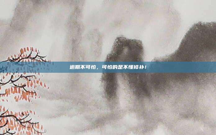 逾期不可怕,可怕的是不懂修补!