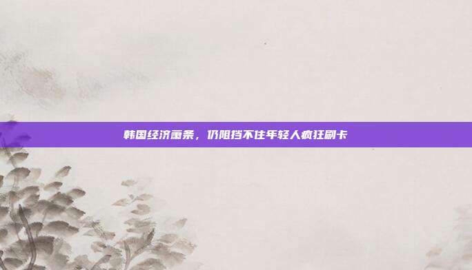 韩国经济萧条,仍阻挡不住年轻人疯狂刷卡