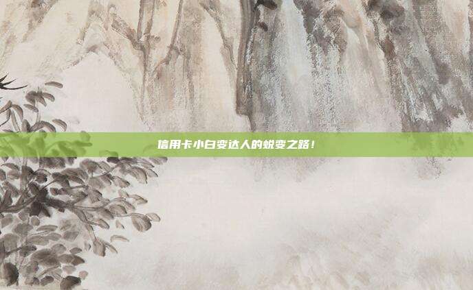 信用卡小白变达人的蜕变之路!