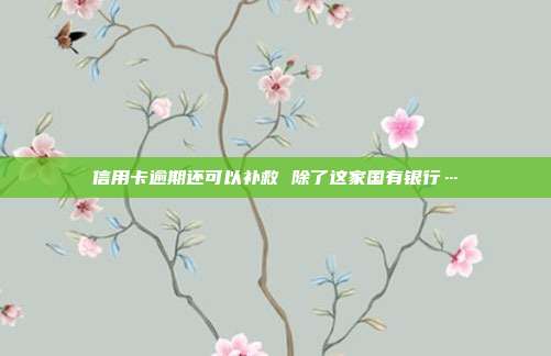 信用卡逾期还可以补救 除了这家国有银行…