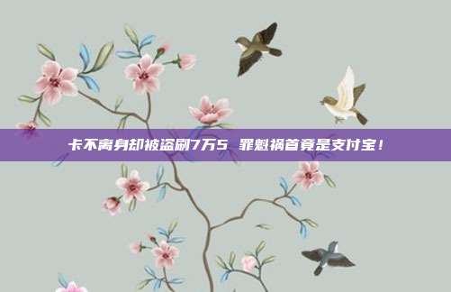 卡不离身却被盗刷7万5 罪魁祸首竟是支付宝!