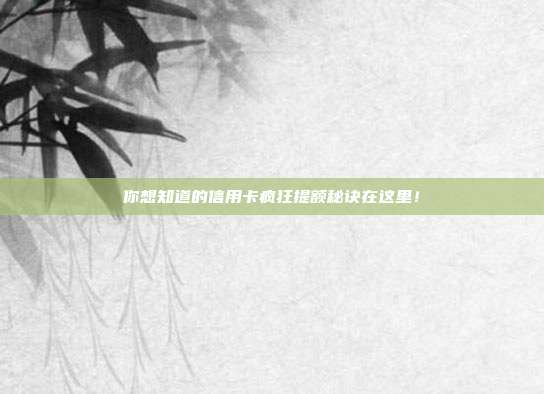 你想知道的信用卡疯狂提额秘诀在这里！