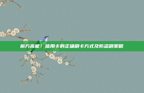 前方高能!信用卡的正确刷卡方式及防盗刷策略