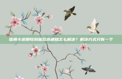 信用卡逾期收到催款函通知怎么解决？解决方式只有一个