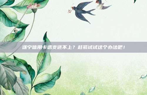 遂宁信用卡透支还不上？赶紧试试这个办法吧！
